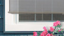 Outdoor Shades