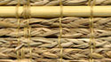 Reeds