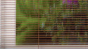 1/2" Slats