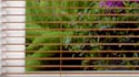1" Slats