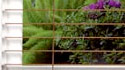2" Slats