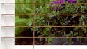 2 1/2" Slats