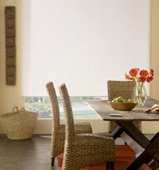 3/8" Double Cell Cellular Shade: Daybreak II shown in True White