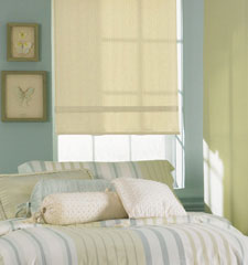 Bali roller shade shown in color Manhattan Light Filtering Leisure Green