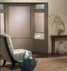 Bali roller shade shown in color Thatch Coffee