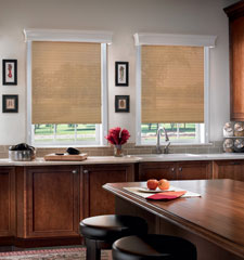Bali Arbor roller shade shown in color Umber