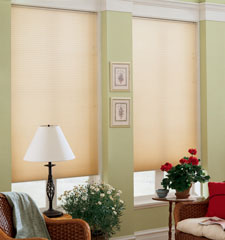 3/8" Double Cell Traditions shown in color Lemon Chiffon