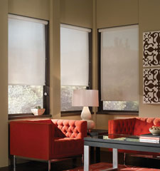 Blindsgalore Basics solar shade shown in colour Beige Blend