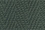 Forest - 2234